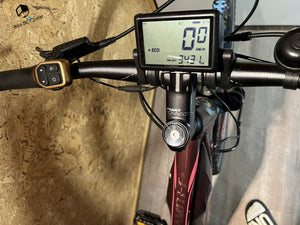 vélo électrique occasion giant